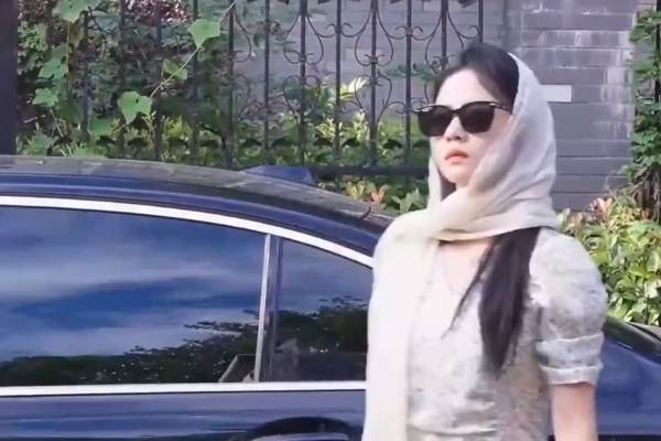 reincarnated as the ceo’s wife plot