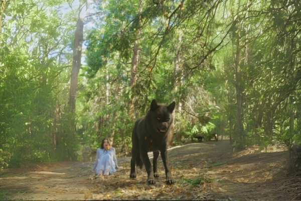 The Cursed Alpha’s Mate Movie watch online free episodes