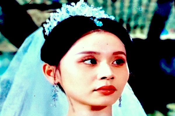 Never Too Late to Revenge Lead Actress