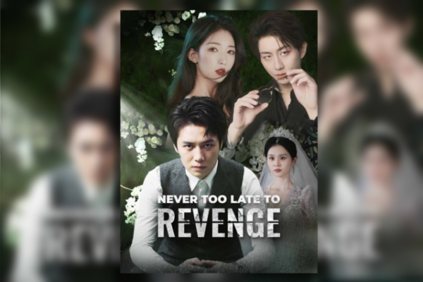 Never Too Late to Revenge dailymotion