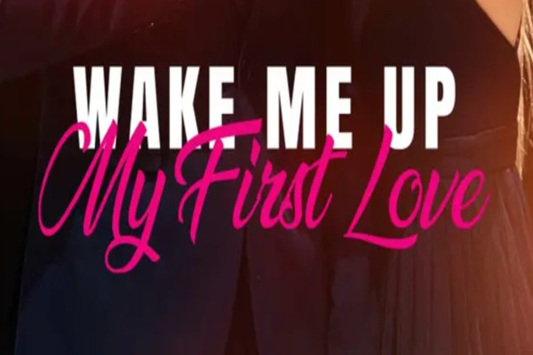 Wake Me Up My First Love Actors Introduction