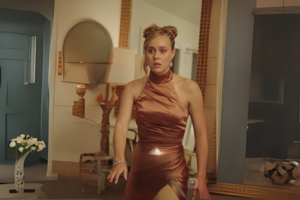 The Divorced Wife is a Genius Surgeon movie