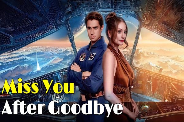 Miss You After Goodbye Dailymotion