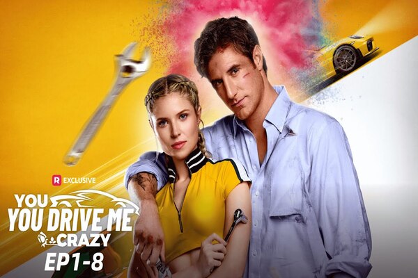 You Drive Me Crazy Actors Introduction
