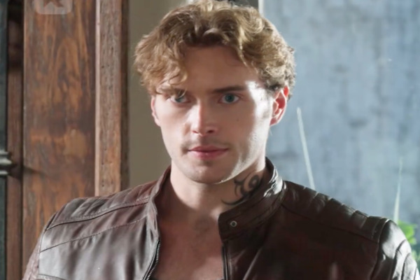 Betrayed Alpha Queen Rises From The Ashes Lead Actor