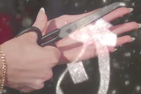 Blood & Silver Rise of the Alpha’s Rejected Mate summary