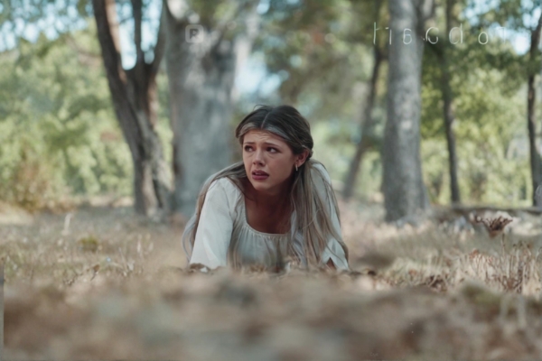 Bound To The Rebel Wolf Full Movie