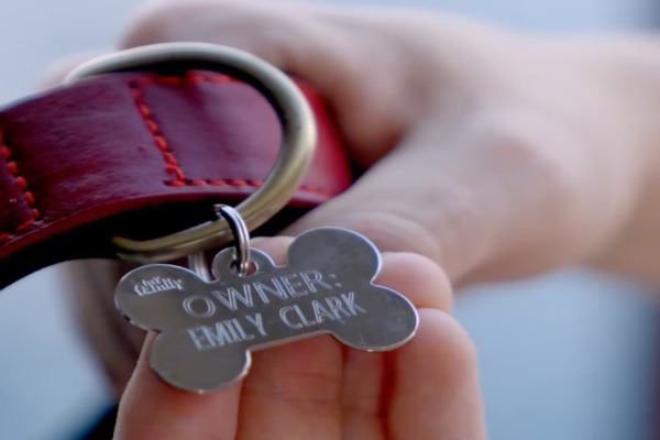 I Leashed A CEO Storyline