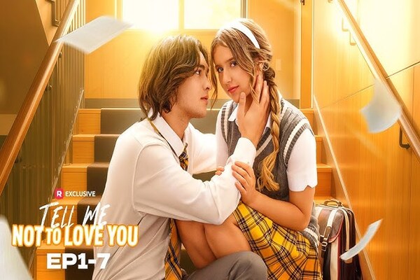 Tell Me Not To Love You Plot