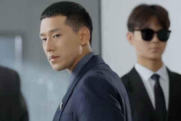 Unspoken Love Unblossomed Rose Plot