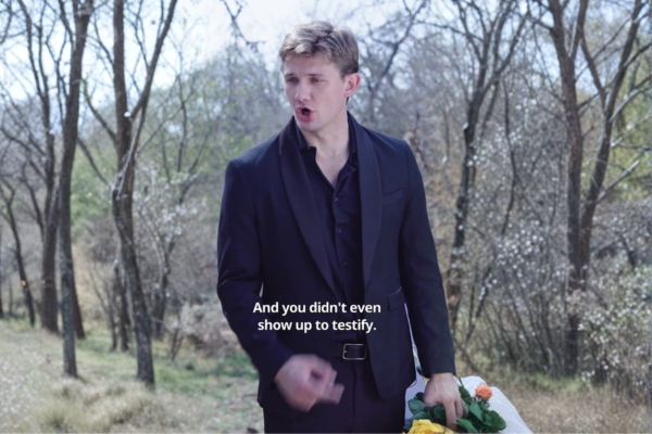 The Summer My Heart Stopped ReelShort