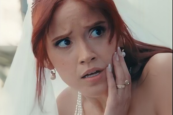 The Janitor Billionaire His Swapped Bride Anime