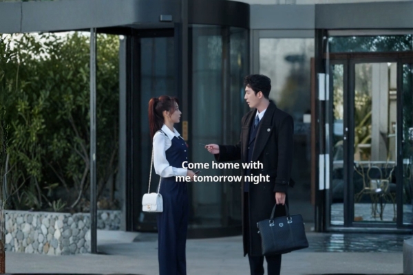 Divorce Lawyer Married By Mistake Drama 