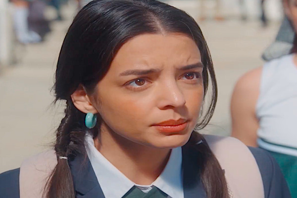 Hating And Loving My Adopted Brother Plot