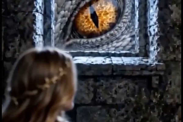 My Brothers Begged But I'm The Dragon's Queen storyline